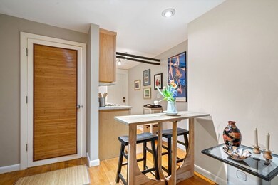 20 Concord Ave unit B, Cambridge, MA 02138 - photo 5