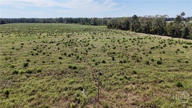 2548 Dry Dock Rd, Metter, GA 30439 - photo 4