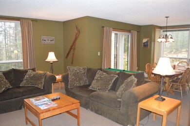 5 Northbrook Village Rd unit E-16, Dover, VT 05356 - photo 5