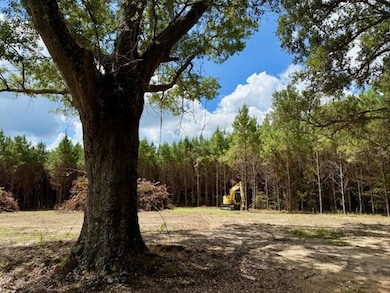 87 Tynes Rd, Sandy Hook, MS 39478 - photo 4