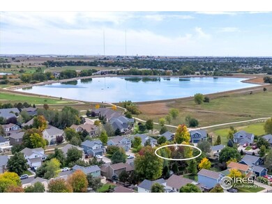 5427 Fox Run Blvd, Longmont, CO 80504 - photo 4