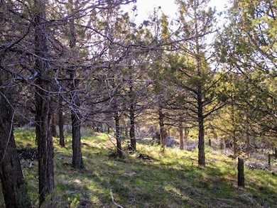 0 Pearson Butte unit Lot 16 220198014, Keno, OR 97627 - photo 6