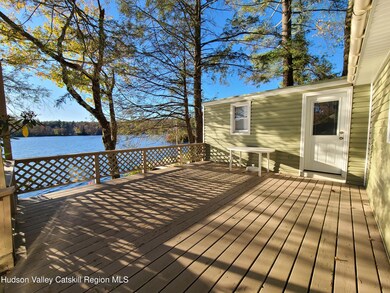 106 Park Dr, Parksville, NY 12768 - photo 5