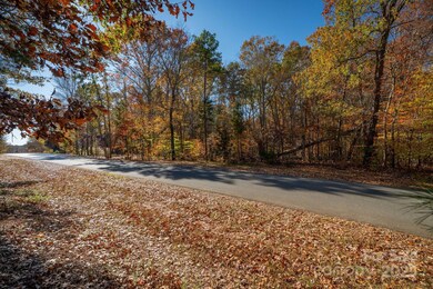 0 Nablus Dr unit 2, Waxhaw, NC 28173 - photo 7