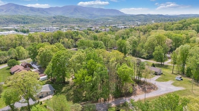 3713 Shelor Ave, Salem, VA 24153 - photo 2