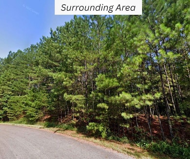 County Route 13, Berkeley Springs, WV 25411 - photo 3