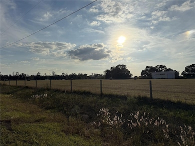 14950 Mim Place, Dade City, FL 33525 - photo 5