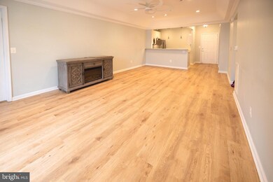 8612 Fluttering Leaf Trail unit 404, Odenton, MD 21113 - photo 7