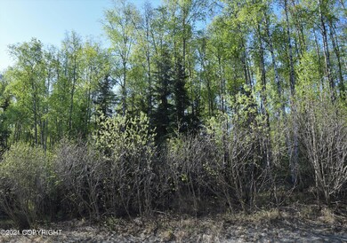 Level/sloping lot