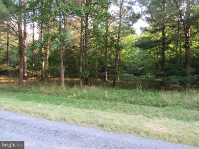 0 Hardscrabble Rd unit DESU2004450, Georgetown, DE 19947 - photo 7