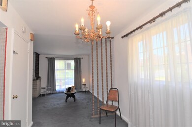 6001 10th Place, Hyattsville, MD 20782 - photo 6