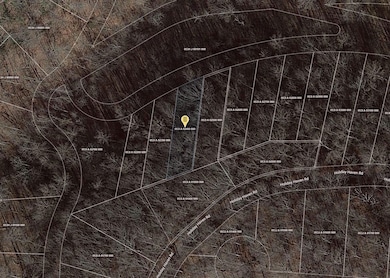 0 Tranquility Way, Smithville, TN 37166 - photo 7