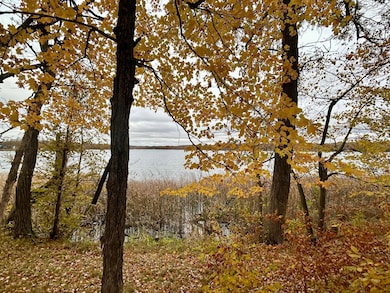 TBD E Lake Lizzie Rd, Pelican Rapids, MN 56572 - photo 2