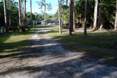 DSC_0280 (2)
