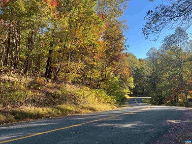 1717 Black Walnut Dr, Nellysford, VA 22958 - photo 5