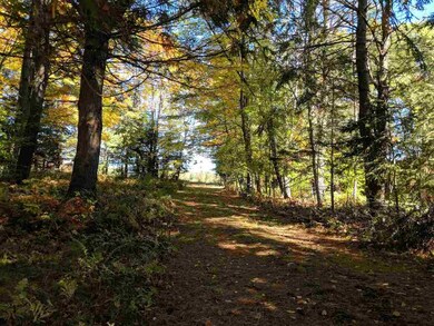 0 W Cobble Hill Rd unit 4636681, Barre, VT 05641 - photo 6