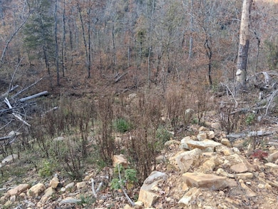 #72 Boktuklo Mountain unit 72, Honobia, OK 74957 - photo 5