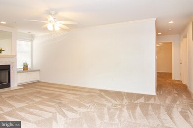 4700 Coyle Rd unit 101, Owings Mills, MD 21117 - photo 7