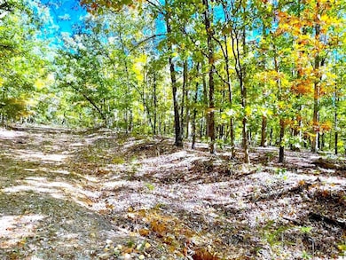 18 Longhorn Dr, Williford, AR 72482 - photo 4