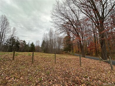 LOT 24D Days Bridge Rd, Thornhill, VA 22960 - photo 2