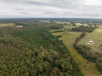 000 Goff Rd Via Easement, Quitman, AR 72131 - photo 5