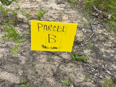 Parcel #B N Townline Rd, Lewiston, MI 49756 - photo 3