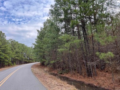 0 Kelly Ave E unit 24032577, Sparkman, AR 71763 - photo 3