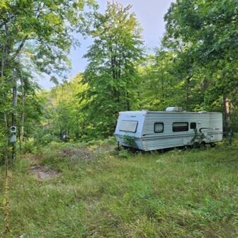 12129 N Lake St, Bitely, MI 49309 - photo 6