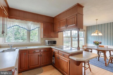 425 S Grant St, Palmyra, PA 17078 - photo 6