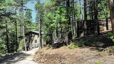 12 Meadow View Glen, Cloudcroft, NM 88317 - photo 4