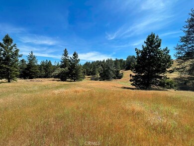0 Triangle Rd unit MP24174683, Mariposa, CA 95338 - photo 3