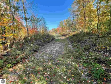 6236 E Michigan 55, Whittemore, MI 48770 - photo 5