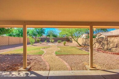 backyard5