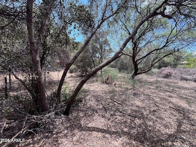 20779 E Larry Ln unit 2509, Cordes Lakes, AZ 86333 - photo 5