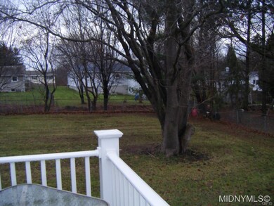 Large back yard
