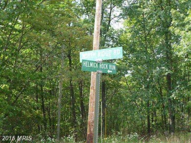 0 N Ridge Rd unit 1000213555, Mathias, WV 26812 - photo 4