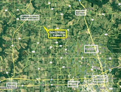 2700 Blk Peach Bloom Hwy unit Lot 4, Church Point, LA 70525 - photo 5