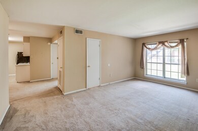 900_Mountain_Creek_Rd_#_379_06