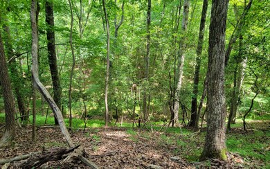 Additional View