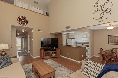 The lovely family room with cathedral ceilings.