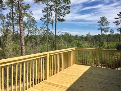 Back Deck