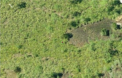 0 Dill Rd unit MFRO6271702, Orlando, FL 32820 - photo 3