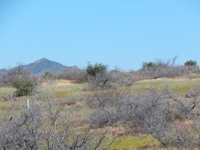 Northern view 2