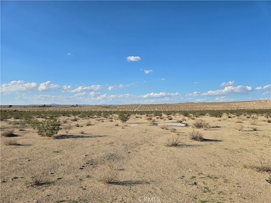 5400 Shoshone Valley Rd, Twentynine Palms, CA 92277 - photo 4