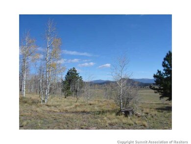 3676 Buffalo Ridge Rd, Como, CO 80432 - photo 5