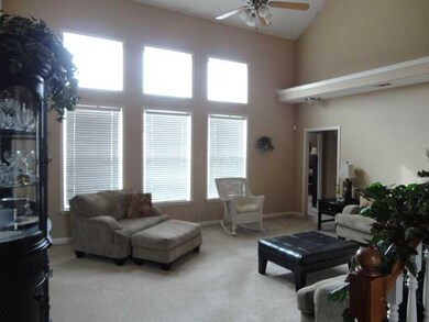 Large Great Room with Vaulted Ceilings and Great N