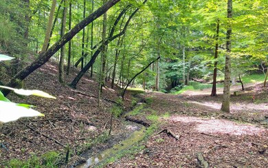 Additional View