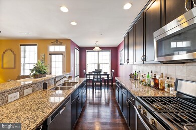 43065 Thoroughfare Gap Terrace, Ashburn, VA 20148 - photo 6