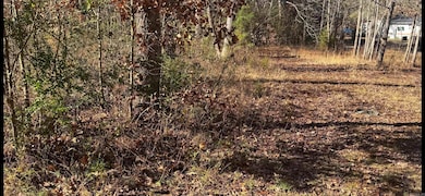 500 R Tram - Front Right, Traskwood, AR 72167 - photo 5