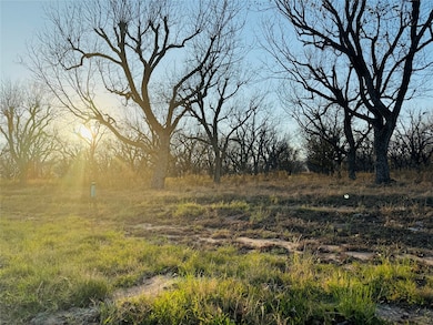 2519 Buckskin Dr, Granbury, TX 76049 - photo 2